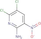 5,6-dichloro-3-nitropyridin-2-amine