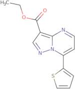 Ethyl 7-thien-2-ylpyrazolo[1,5-a]pyrimidine-3-carboxylate