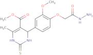 Methyl 4-[4-(2-hydrazino-2-oxoethoxy)-3-methoxyphenyl]-6-methyl-2-thioxo-1,2,3,4-tetrahydropyrimid…