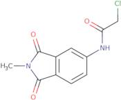 2-Chloro-N-(2-methyl-1,3-dioxo-2,3-dihydro-1H-isoindol-5-yl)acetamide