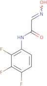 2-(N-Hydroxyimino)-N-(2,3,4-trifluorophenyl)acetamide