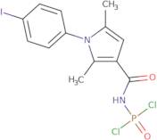 {[1-(4-Iodophenyl)-2,5-dimethyl-1H-pyrrol-3-yl]formamido}phosphonoyl dichloride