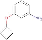 3-Cyclobutoxyaniline