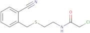 2-Chloro-N-(2-{[(2-cyanophenyl)methyl]sulfanyl}ethyl)acetamide