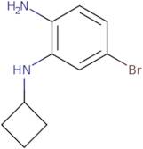 5-Bromo-1-N-cyclobutylbenzene-1,2-diamine