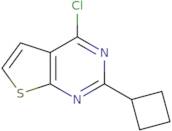4-Chloro-2-cyclobutylthieno[2,3-d]pyrimidine