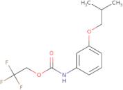 2,2,2-Trifluoroethyl N-[3-(2-methylpropoxy)phenyl]carbamate