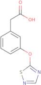 2-[3-(1,2,4-Thiadiazol-5-yloxy)phenyl]acetic acid