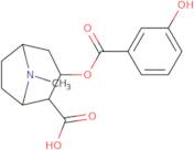 Meta-hydroxybenzoylecgonine-d3