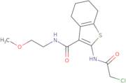 2-(2-Chloroacetamido)-N-(2-methoxyethyl)-4,5,6,7-tetrahydro-1-benzothiophene-3-carboxamide