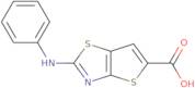 2-(Phenylamino)thieno[2,3-d][1,3]thiazole-5-carboxylic acid