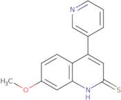 7-Methoxy-4-(pyridin-3-yl)quinoline-2-thiol