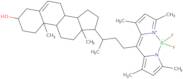 TopFluor Cholesterol