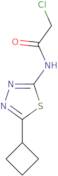 2-Chloro-N-(5-cyclobutyl-[1,3,4]thiadiazol-2-yl)-acetamide