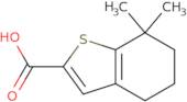 7,7-Dimethyl-4,5,6,7-tetrahydro-1-benzothiophene-2-carboxylic acid