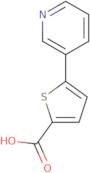 5-(Pyridin-3-yl)thiophene-2-carboxylic acid