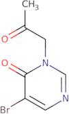 5-Bromo-3-(2-oxopropyl)-3,4-dihydropyrimidin-4-one