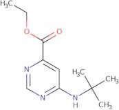 Ethyl 6-(tert-butylamino)pyrimidine-4-carboxylate