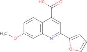 2-(Furan-2-yl)-7-methoxyquinoline-4-carboxylic acid