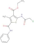 Ethyl 2-(2-chloroacetamido)-4-methyl-5-(phenylcarbamoyl)thiophene-3-carboxylate