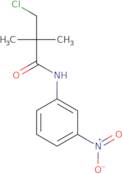 3-Chloro-2,2-dimethyl-N-(3-nitrophenyl)propanamide