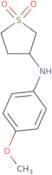 Tetrahydro-â€‹N-â€‹(4-â€‹methoxyphenyl)â€‹-3-â€‹thiophenamine 1,â€‹1-â€‹dioxide