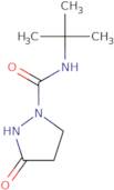 N-tert-Butyl-3-oxopyrazolidine-1-carboxamide