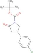 Tert-Butyl 4-(4-Chlorophenyl)-2-Oxo-2,5-Dihydro-1H-Pyrrole-1-Carboxylate