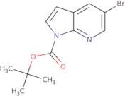 5-Bromo-pyrrolo[2,3-b]pyridine-1-carboxylic acid tert-butyl ester