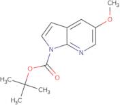 5-Methoxy-pyrrolo[2,3-b]pyridine-1-carboxylic acid tert-butyl ester