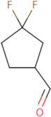 3,3-Difluorocyclopentane-1-carbaldehyde