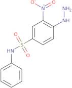 4-Hydrazinyl-3-nitro-N-phenylbenzene-1-sulfonamide