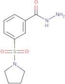 3-(Pyrrolidine-1-sulfonyl)benzohydrazide