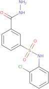 N-(2-Chlorophenyl)-3-(hydrazinecarbonyl)benzene-1-sulfonamide