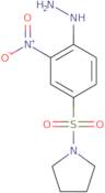 1-(4-Hydrazinyl-3-nitrobenzenesulfonyl)pyrrolidine