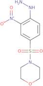 4-(4-Hydrazinyl-3-nitrobenzenesulfonyl)morpholine