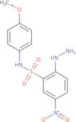 2-Hydrazinyl-N-(4-methoxyphenyl)-5-nitrobenzene-1-sulfonamide