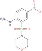 4-(2-Hydrazinyl-5-nitrobenzenesulfonyl)morpholine