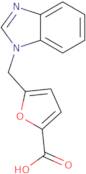 5-(1H-Benzimidazol-1-ylmethyl)-2-furoic acid