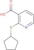 2-(Cyclopentylsulfanyl)pyridine-3-carboxylic acid