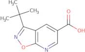 3-tert-Butyl-[1,2]oxazolo[5,4-b]pyridine-5-carboxylic acid