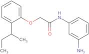 N-(3-Aminophenyl)-2-[2-(Sec-butyl)phenoxy]-acetamide