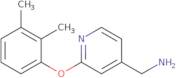 [2-(2,3-Dimethylphenoxy)pyridin-4-yl]methanamine