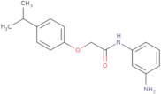 N-(3-Aminophenyl)-2-(4-isopropylphenoxy)acetamide