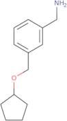 {3-[(Cyclopentyloxy)methyl]phenyl}methanamine