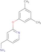 [2-(3,5-Dimethylphenoxy)pyridin-4-yl]methanamine