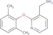 1-[2-(2,6-Dimethylphenoxy)pyridin-3-yl]methanamine