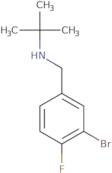 [(3-Bromo-4-fluorophenyl)methyl](tert-butyl)amine