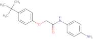 N-(4-Aminophenyl)-2-[4-(tert-butyl)phenoxy]-acetamide