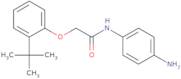 N-(4-Aminophenyl)-2-[2-(tert-butyl)phenoxy]-acetamide